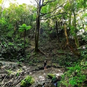 Meet your Posher, Elly